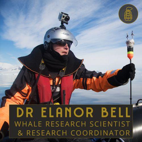 STEAM Powered - Antarctic Whales and Microbial Ecology with Dr Elanor Bell (#29)